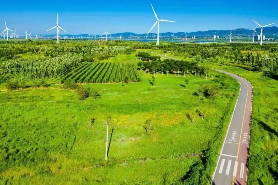 1690442890265798.jpg 7998904858343c626d272b482a4210e.jpg