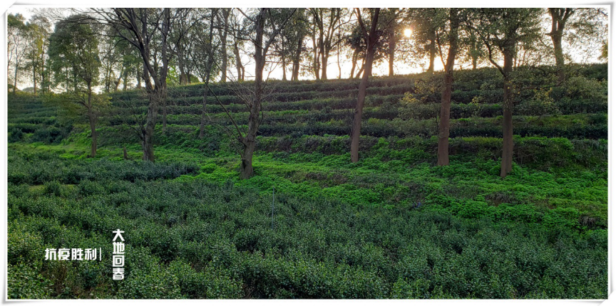 圖片 4.png 圖片 4.png